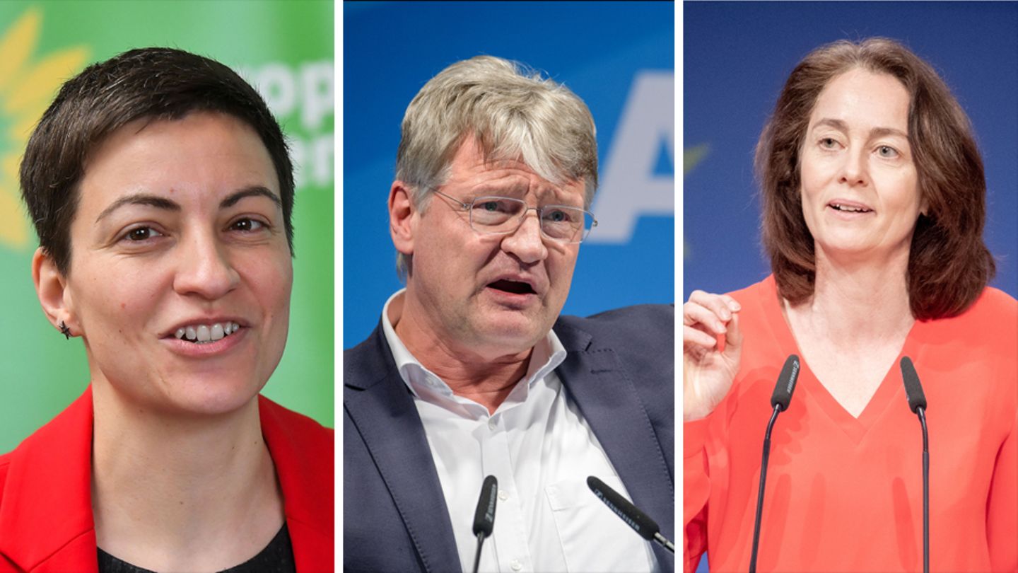 Europawahl Das sind die Spitzenkandidaten der deutschen Parteien