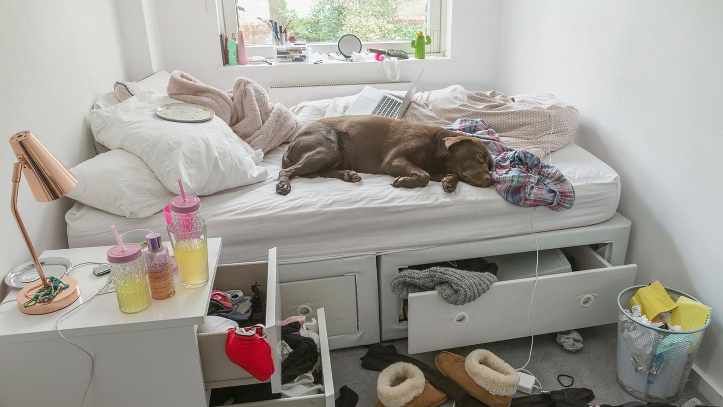 Unordnung kann gern auch zu Stress führen