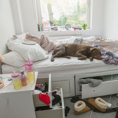 Unordnung kann gern auch zu Stress führen