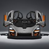 Die Flügeltüren sind abnehmbar