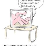 Cartoons von Tobias Schülert: Klimawandel - So schlecht geht es Frau Holle
