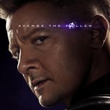 Jeremy Renner spielt den Marvel-Charakter Clinton Francis "Clint" Barton, der unter anderem auch Hawkeye genannt wird