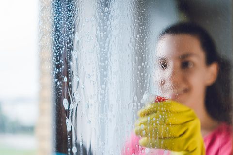 Mit dem Sauger macht Fensterputzen mehr Spaß, sagen die Tester.