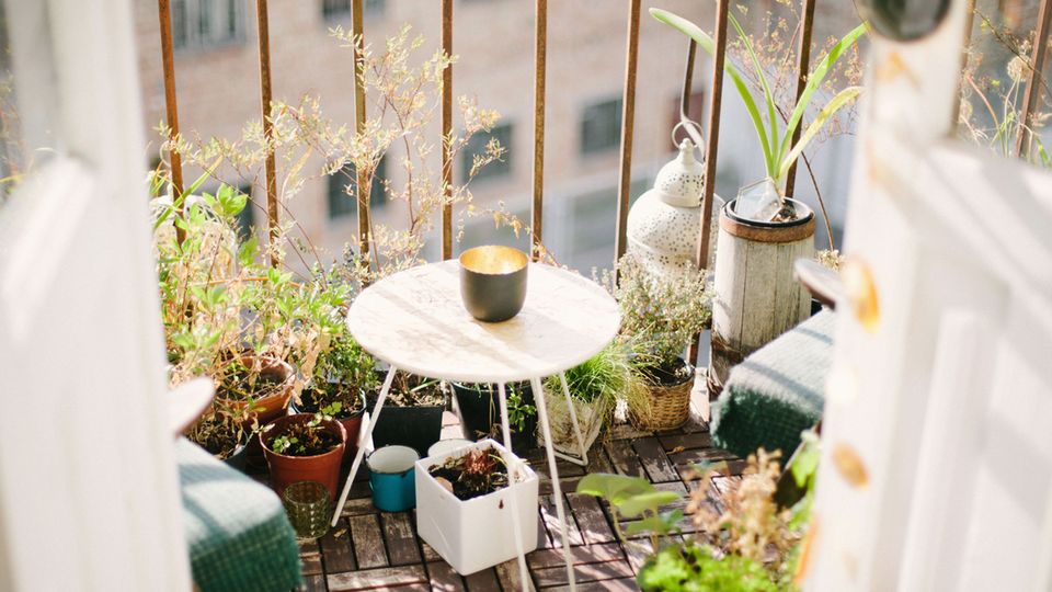 Der Frühling lässt sich wunderbar auf Balkonien genießen Der Frühling lässt sich wunderbar auf Balkonien genießen