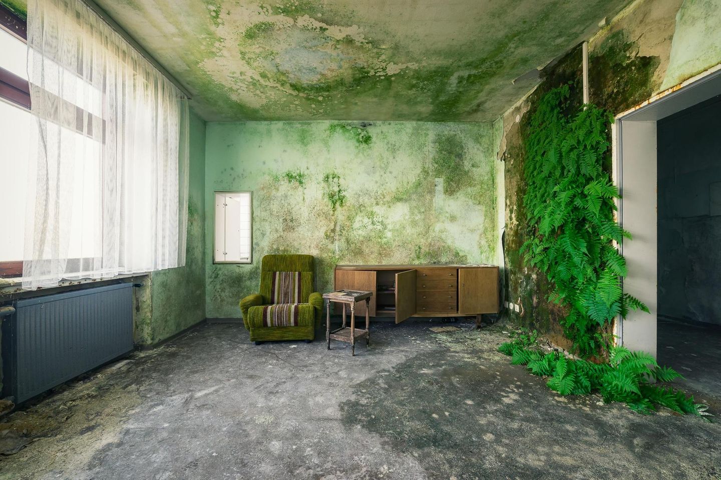 Deutschland  Einst verbrachten hier Senioren ihren letzten Lebensabschnitt. Doch das Pflegeheim ist schon lange verlassen. Und so erobert sich die Natur ihren Platz zurück, so wie in diesem Aufenthaltsraum in einem verlassenen Pflegeheim.