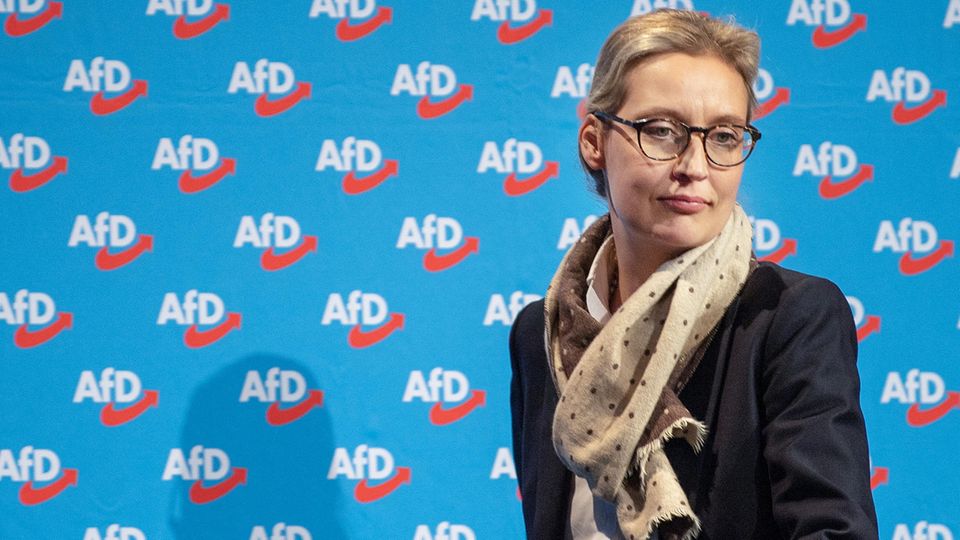 Spendenaffäre: Neue dubiose Zahlungen und Strohmannlisten im Fall um AfD-Fraktionschefin Alice Weidel
