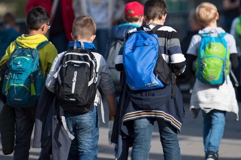 AfD-Politiker - Waldorfschule - Berlin - Ablehnung
