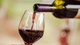 Krebsrisiko: ein Glas Rotwein