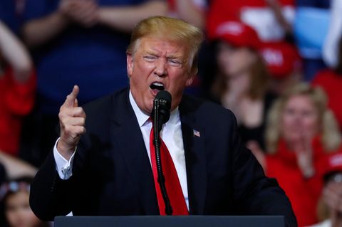 Donald Trump Michigan