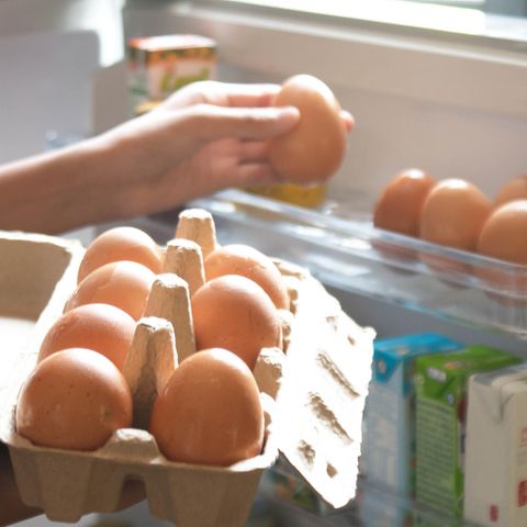 Eier
