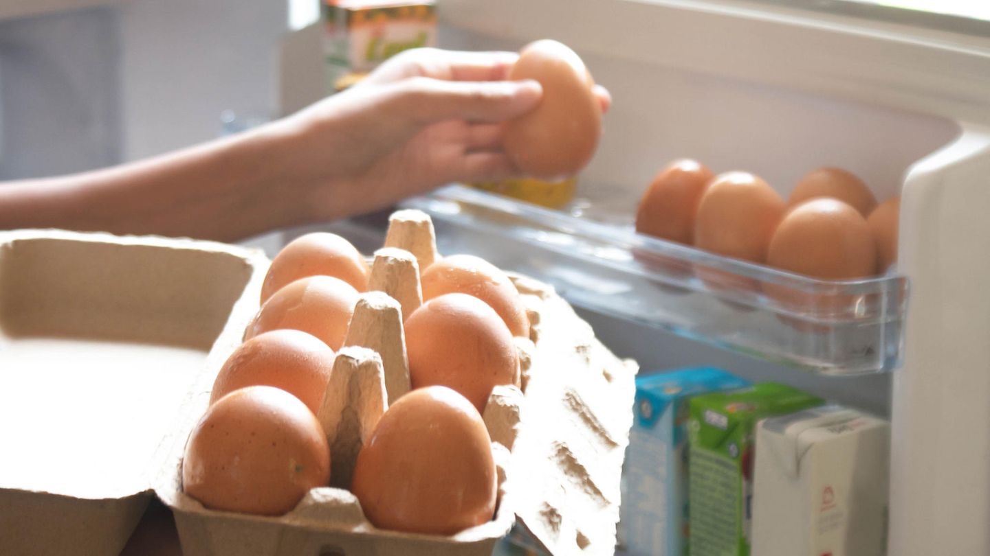 Bio Eier Von Aldi Und Rewe Fallen Wegen Haltungsbedingungen Durch Stern De