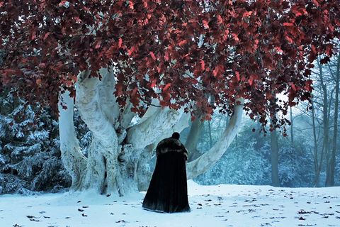 In Staffel 8 von "Game of Thrones" wird Winterfell eine wichtige Rolle spielen