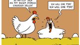 Zum Buch