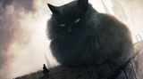 eine flauschige Miezekatze
