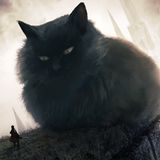 eine flauschige Miezekatze