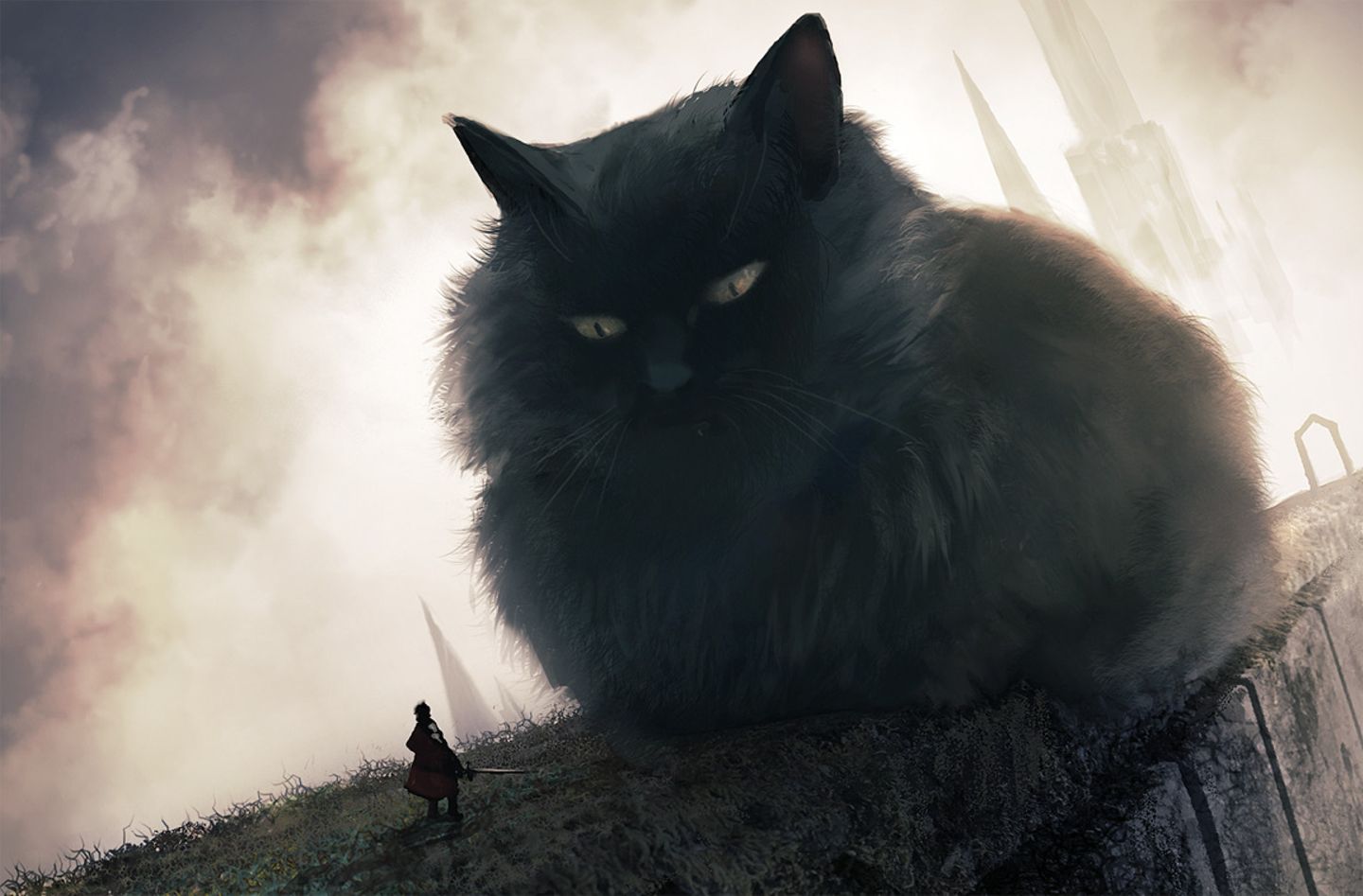 eine flauschige Miezekatze