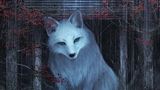 Ein großer Wolf