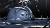 Katze mit den verschieden farbigen Augen