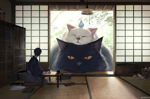 Zwei überdimensionale Katzen schauen durch japanische Schiebetüren