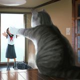 Eine große Katze begrüßt einen kleinen Menschen