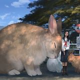 Ein großer Hase und zwei immer noch nicht kleine Hasen kuscheln eine junge Dame