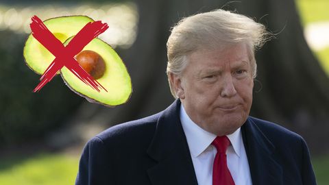 Trump und Avocados