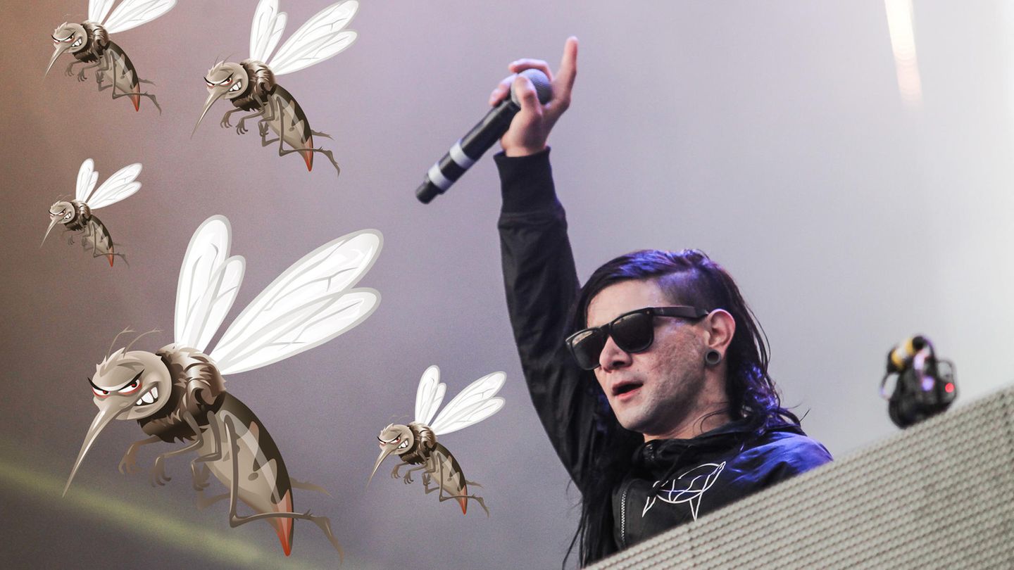 Mücken mögen Skrillex