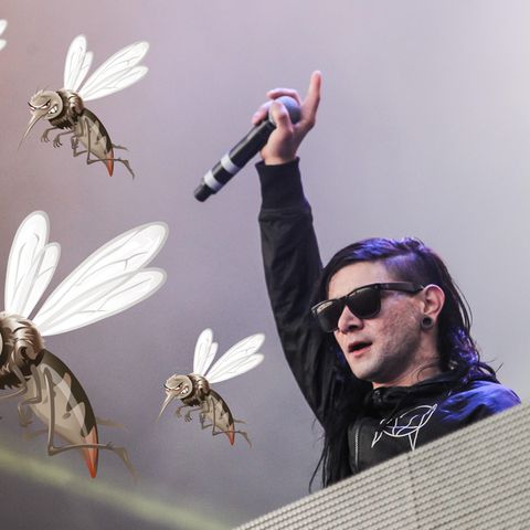 Mücken mögen Skrillex
