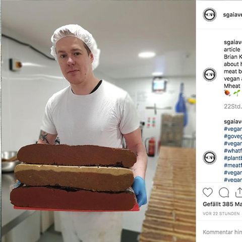 Metzger Vegan