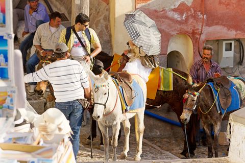 Esel mit schweren Reitern in Fira