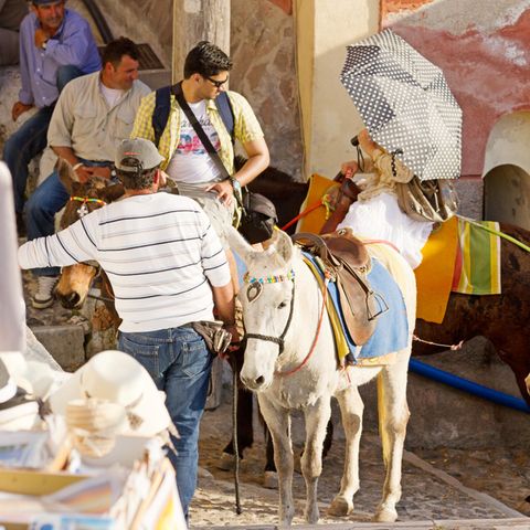 Esel mit schweren Reitern in Fira