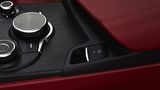 Alfa Romeo Stelvio 2.2 Diesel Q4 - schick anzuschauen
