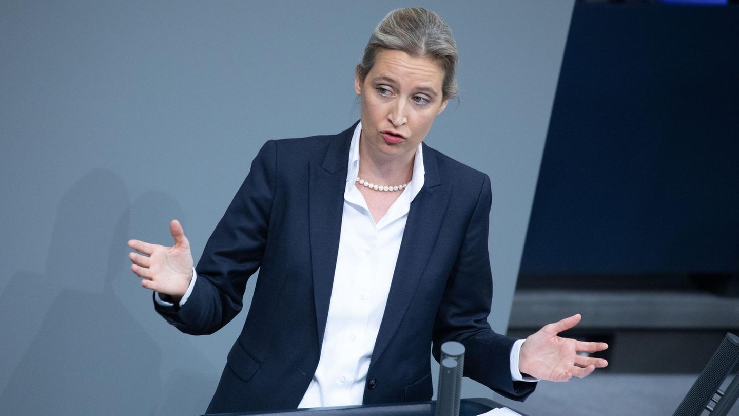 Alice Weidel im Bundestag