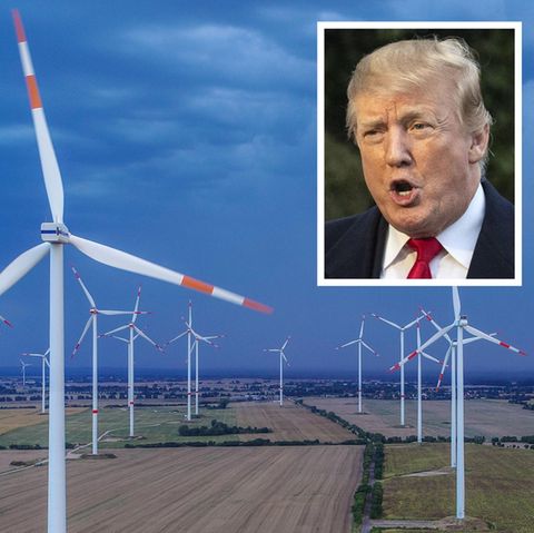 Donald Trump sagt, der Lärm von Windrädern erzeugt Krebs
