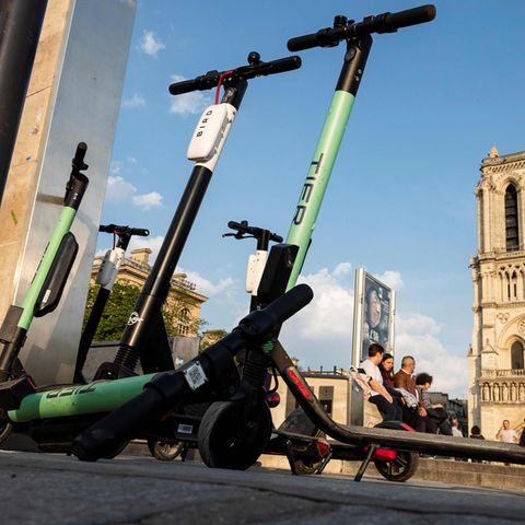 Elektroroller der Anbieter Tier und Bird vor der Kathedrale von Notre-Dame in Paris