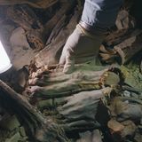 Die Toten waren schlimm verletzt und verstümmelt.