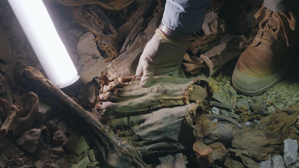 Mumienfund bei Luxor: Die Toten waren schlimm verletzt und verstümmelt. Die Toten waren schlimm verletzt und verstümmelt.