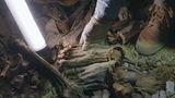 Die Toten waren schlimm verletzt und verstümmelt.