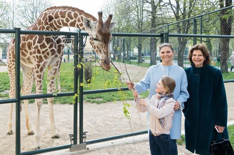 Königin Silvia, Kronprinzessin Victoria und Prinzessin Estelle im Wiener Zoo