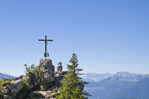 Eine Gams steht auf dem Gamskopf im Brauneck