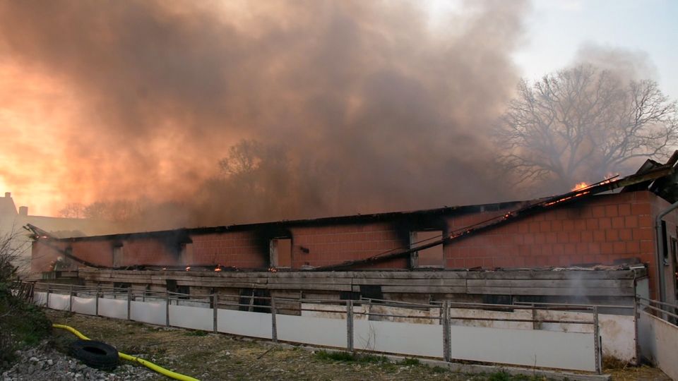 Schweinestall in Warendorf abgebrannt
