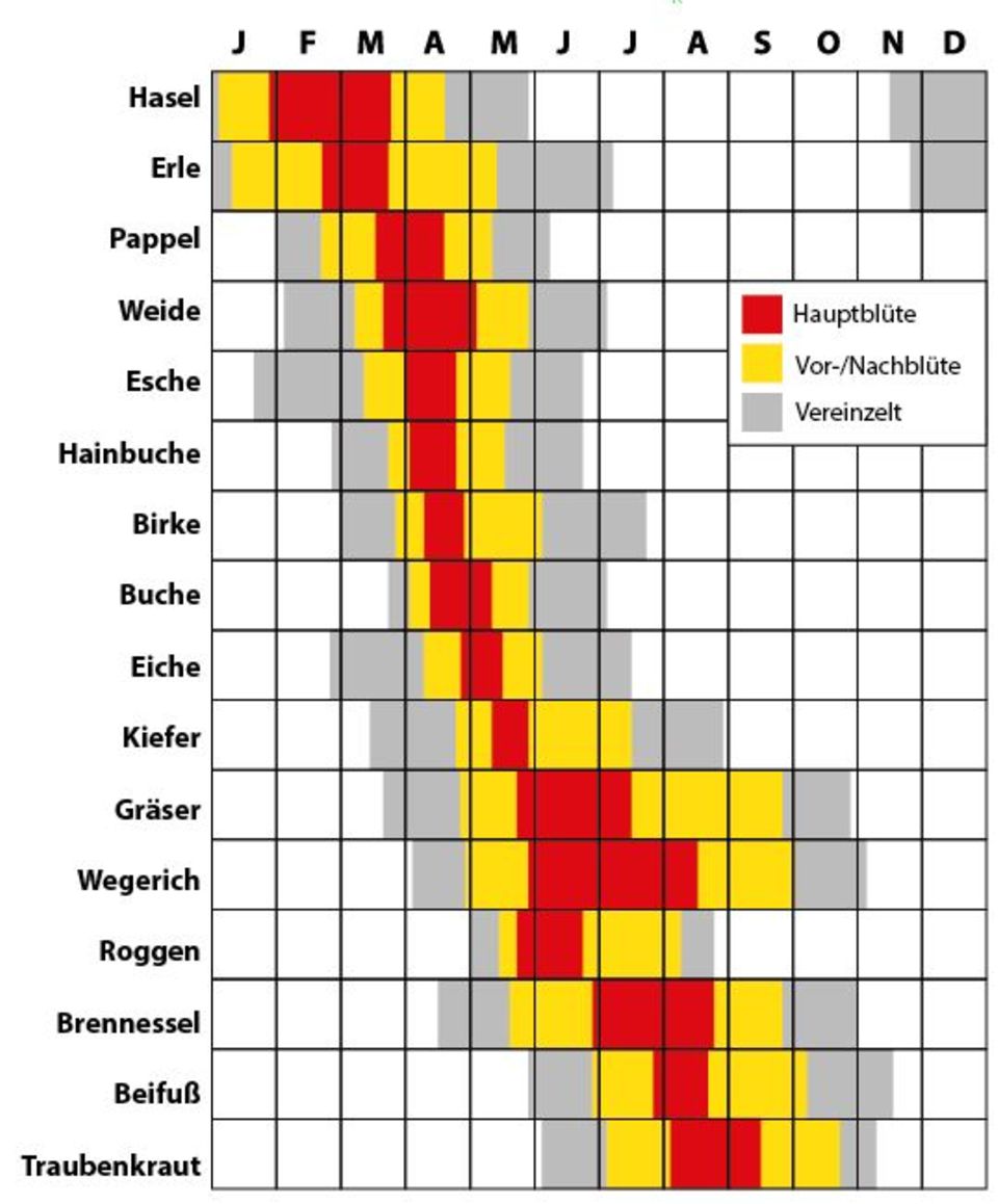 Pollenflugkalender für Deutschland Pollenflugkalender für Deutschland
