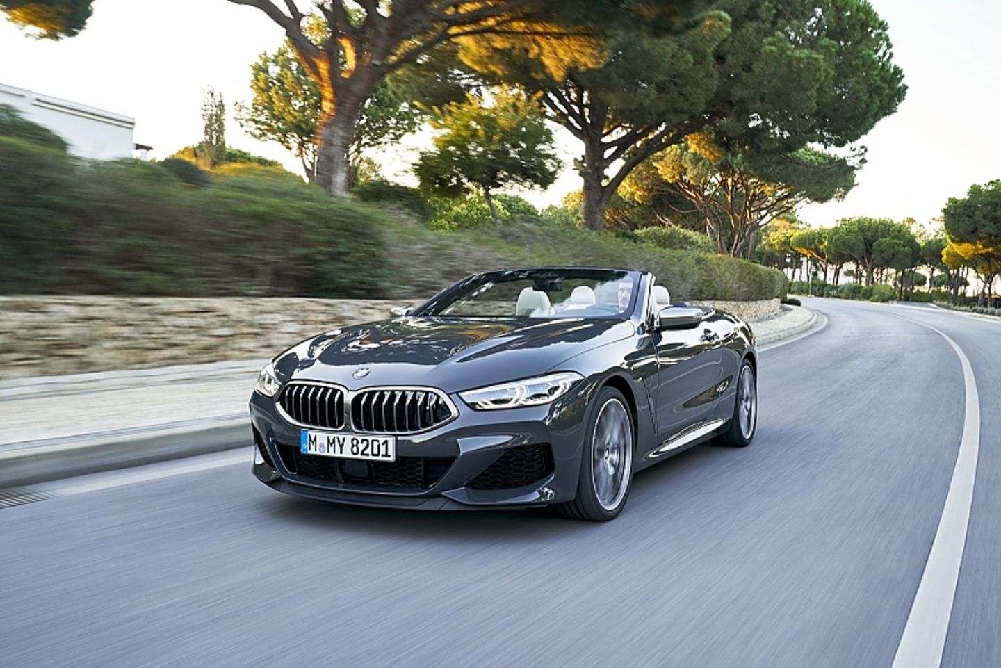 BMW M 850i Cabrio xDrive - 250 km/h schnell