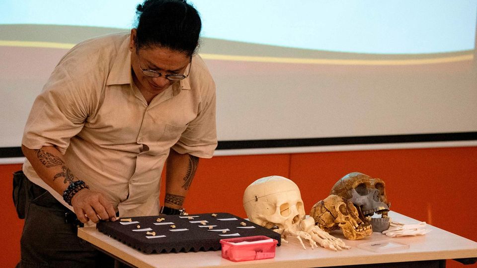 Klein und krumm: Die Forscherin Armand Salvador präsentiert die Knochenüberreste des Homo luzonnsis in Manila