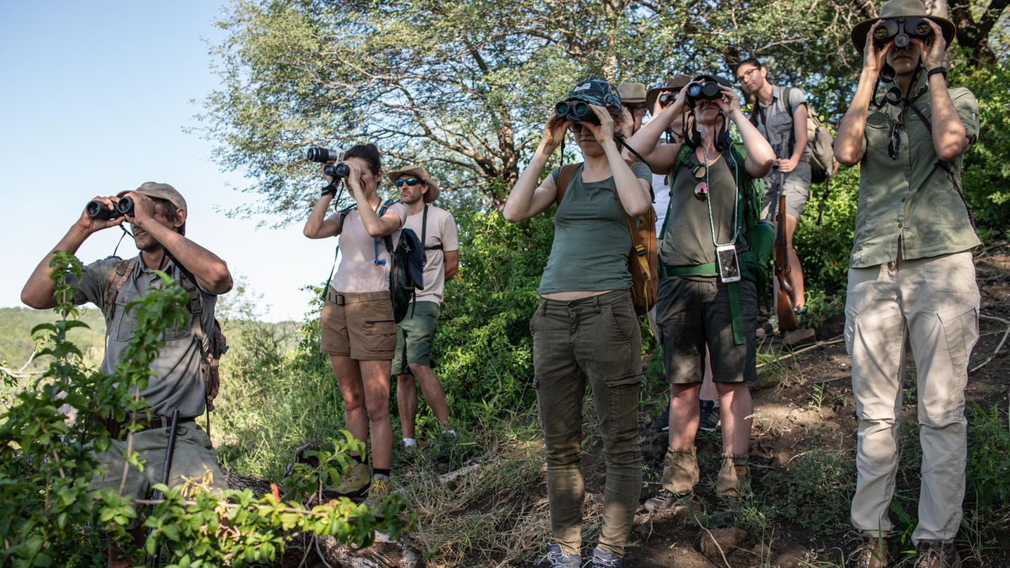 Die lustigsten Vögel im ganzen Busch: Ranger-Nachwuchs auf Spähmission. Reporterin Nele späht ganz vorn.