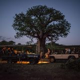 Fertig zur Nachtfahrt: Vorn auf dem Jeep sitzt der Spotter, der mit einem Scheinwerfer den Weg und Bäume nach nachtaktiven Tieren absucht.