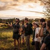 Reporterin Nele: "Der Busch verändert einen. Er macht einen mutig und demütig zugleich."