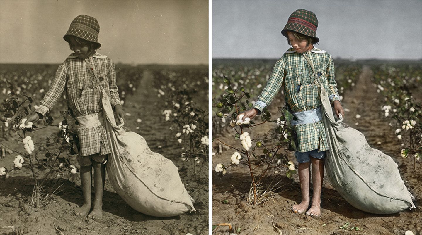 Ein Mädchen zupft Baumwolle von einer Pflanze