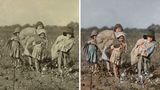 Vier Kinder schultern Säcke voller Baumwolle