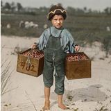 Ein kleiner Junge trägt zwei randvolle Holzkisten